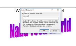 MS Word Document Password